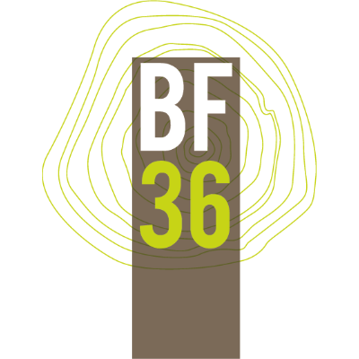 logos-bf36.png